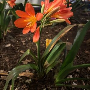 Meet your Posher, Maureen